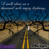 I Walk Alone On A Thousand Mile Empty Highway - Don't Enter My Highway - Elarn03