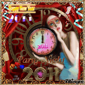 feliz año nuevo//happy new year//2011