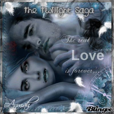 Twilight saga Twilight saga