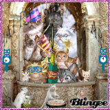 12. Wettbewerb "Katzen- ein Leben lang" Theme