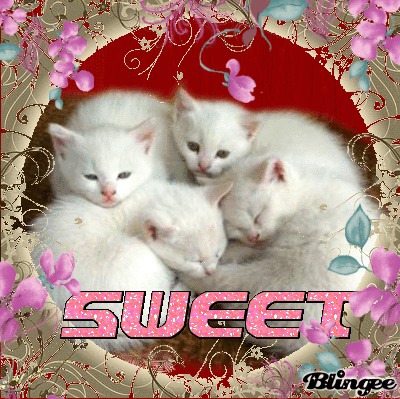 Https Encrypted Tbn0 Gstatic Com Images Q Tbn And9gctvyje77c8lfc47iau Gblxa21kbwkvhecmca Usqp Cau