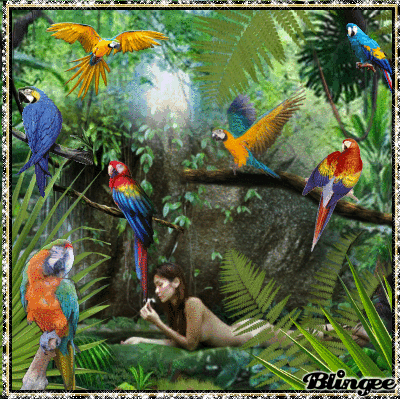 How many parrots do you see? Picture #120758487 | Blingee.com