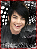 adam¡¡¡DE VUELTA A BLINGEE