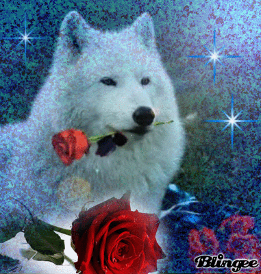 Wolf with roses Picture #120953442 | Blingee.com