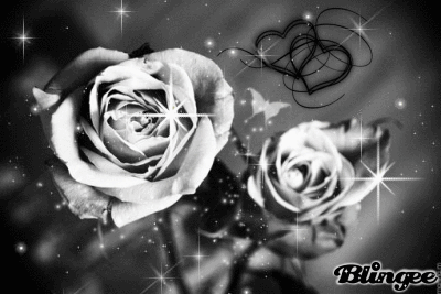 Grey Roses