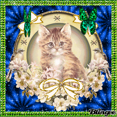 Кисинка!мяу.