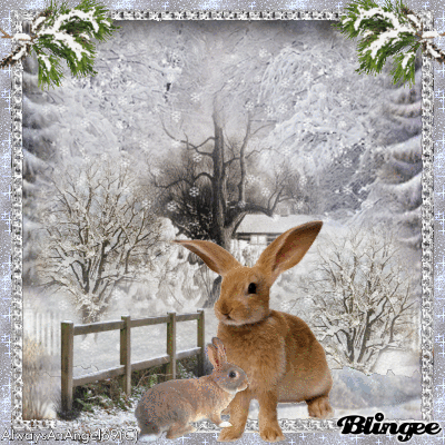 Bunnies In Winter