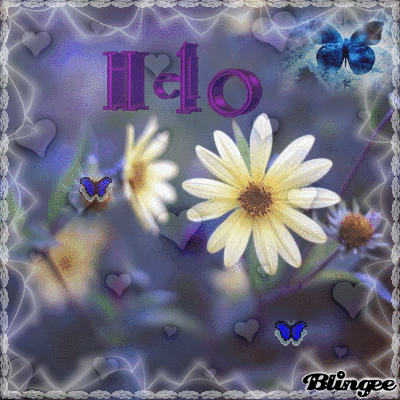 hello my friends hello my friends