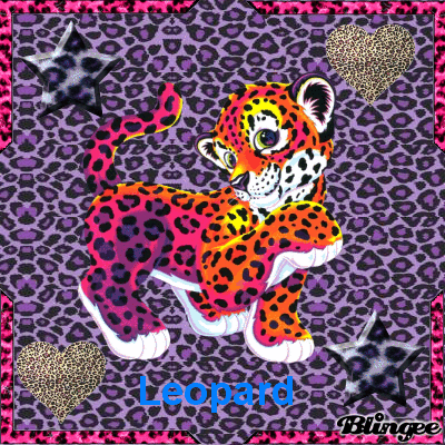 Leopard Rainbow