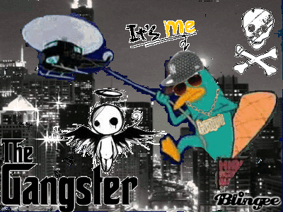 duck billed platypus baby gangsta duck billed platypus baby gangsta