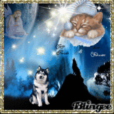 Gute Nacht & süsse Träume Picture #121179741 | Blingee.com
