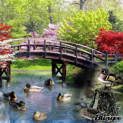 UN BELLO DIA UN BELLO DIA