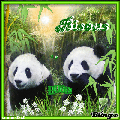 BISOUS : PANDAS
