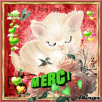 MERCI A MES♥ AMIES♥AMIS♥