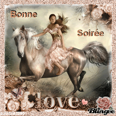 BONNE SOIREE : LA CAVALIERE DU SOIR