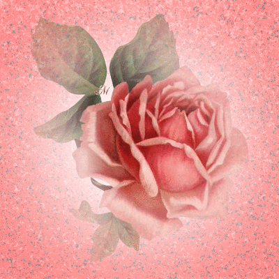 Belle Rose Animated Picture Codes And Downloads 121321385 717050611 Blingee Com