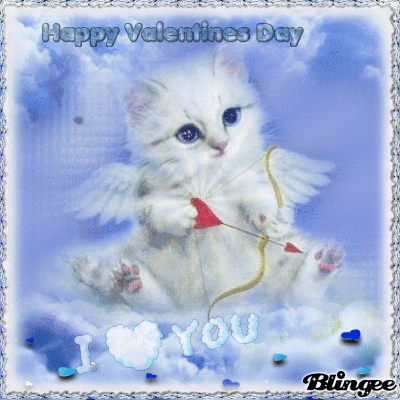 happy valentine cat cupido happy valentine cat cupido