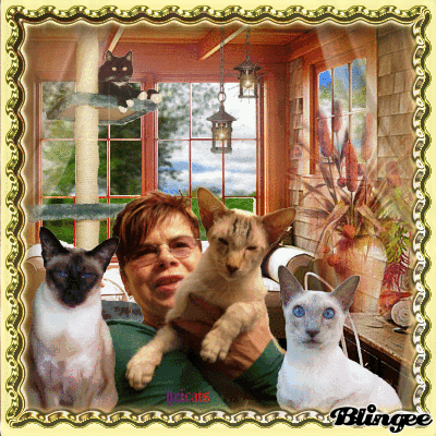 Heidi and Cats Heidi and Cats