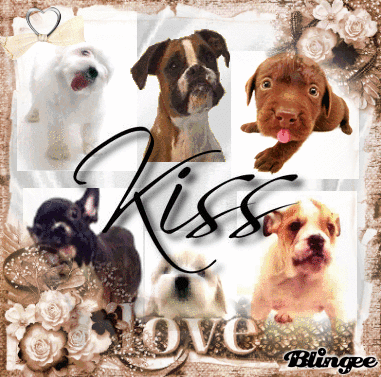 SLURP KISS FOR MY FRIENDS !!!  BISOUS BAVEUX POUR TOUS MES AMIS !!!