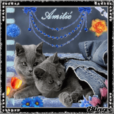 Les copains de Chouchou.