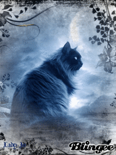 la nuit tous les chats sont gris !