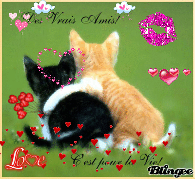 Afficher l'image d'origine