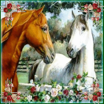 Horses And Roses Picture