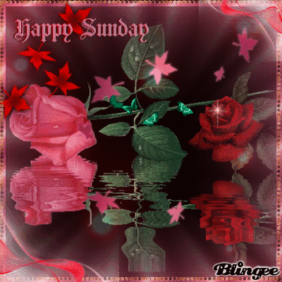 a wonderful sunday für charu_rappel a wonderful sunday für charu_rappel