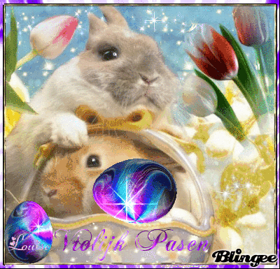 ღஐƸ̵̡Ӝ̵̨̄ƷஐVrolijk PasenღஐƸ̵̡Ӝ̵̨̄Ʒஐ ღஐƸ̵̡Ӝ̵̨̄ƷஐVrolijk PasenღஐƸ̵̡Ӝ̵̨̄Ʒஐ