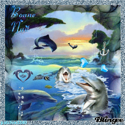 BONNE NUIT : DAUPHINS