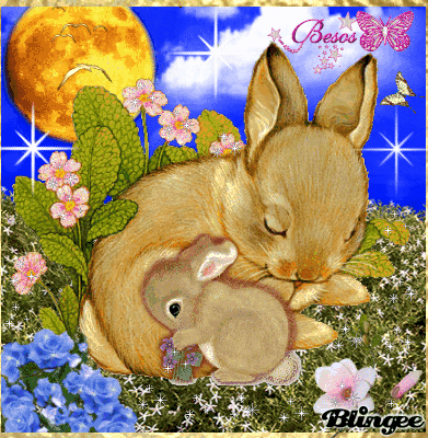 Https Encrypted Tbn0 Gstatic Com Images Q Tbn 3aand9gctehfx7n I6ilaonccitjjebypuqohhsrjt6g Usqp Cau