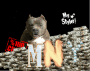 mny pit mny pit
