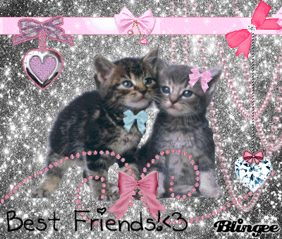 cat bff