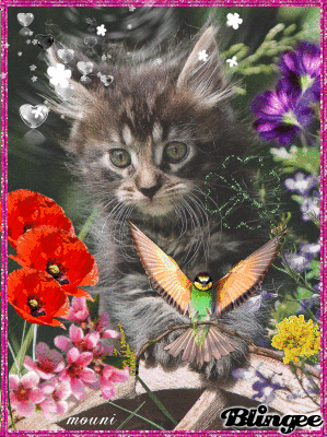 beautiful Friday to all my friends