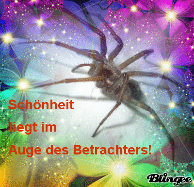 Spruch und Spinne Picture 122282884