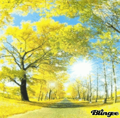Immagine Albero Di Mimose 122289608 Blingee Com
