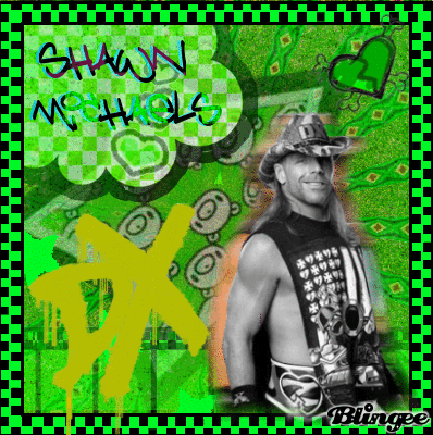 Shawn Michaels D-Generation X Shawn Michaels D-Generation X