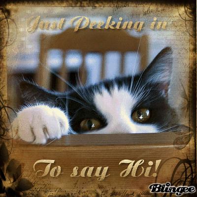 JUST PEEKING IN TO SAY HI