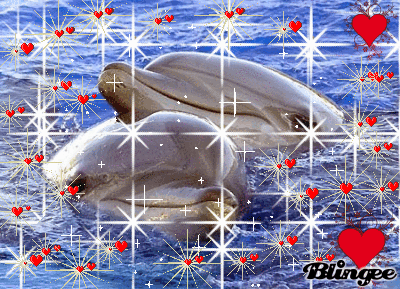Delfini Innamorati Picture 122709266 Blingee Com