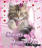 good morning kitten Pictures p. 1 of 3 | Blingee.com