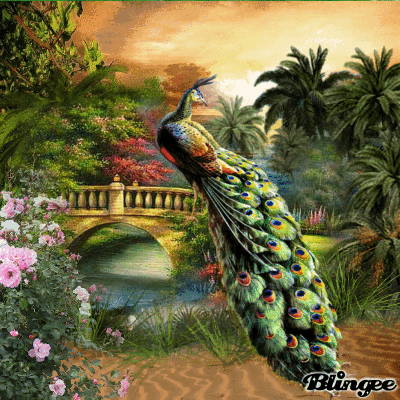 Fantastic Nature Picture 122882397 Blingee Com