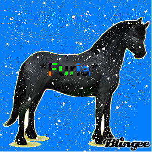 Mi caballo