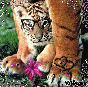 ooohhhh il est mimi ooohhhh il est mimi