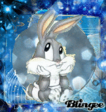 bos bony