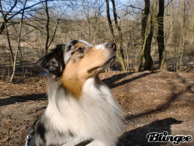 Schnucki <3 *______*