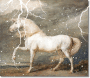 horse in thunder sparkle