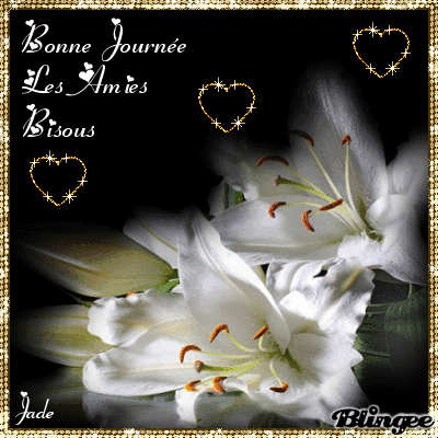 jade bonne journée
