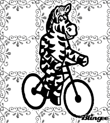 zebra riding bike Picture #123460117 | Blingee.com