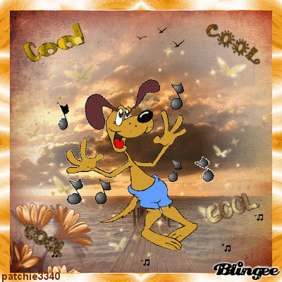CHIEN COOL