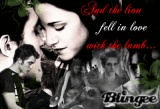 The lion fell in love...
